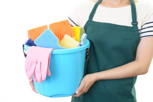 Professional stain removal treatment for carpet and upholstery in Queenspark