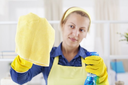 Professional rug cleaning service in Queenspark for homes and businesses