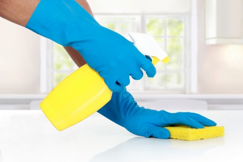 Technician carrying out a carpet safety inspection in Queenspark