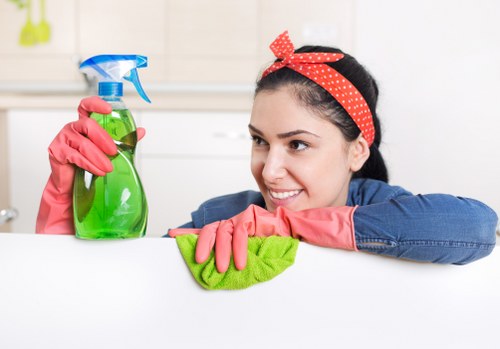 Treating carpet stains and traffic lanes in Queenspark