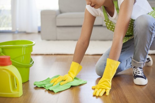 Regular home cleaning tasks in a Queenspark property